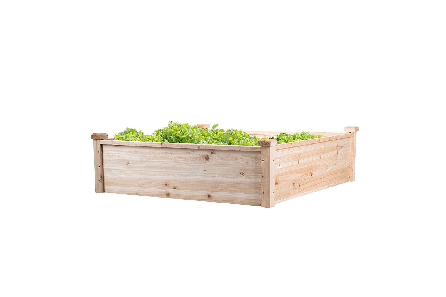 Hochbeet 102 x 102 x 30 cm - Naturholz